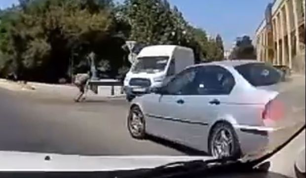 Bakıda qəza: “BMW” qəfil sağa döndü, motosikleti vurdu - VİDEO