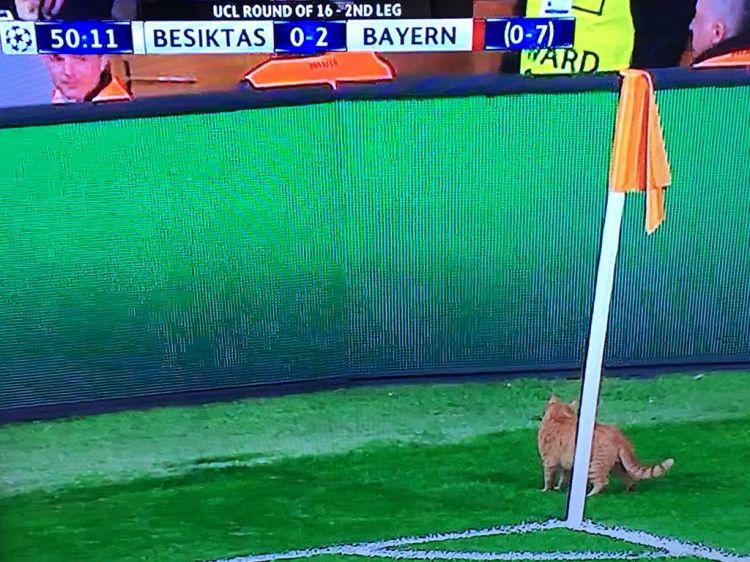 UEFA "Beşiktaş"ı cəzalandıracaq
