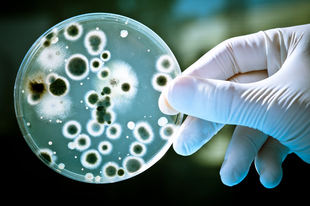 Antibiotiklərin təsirinə dayanıqlı olan bakteriyalar tapılıb