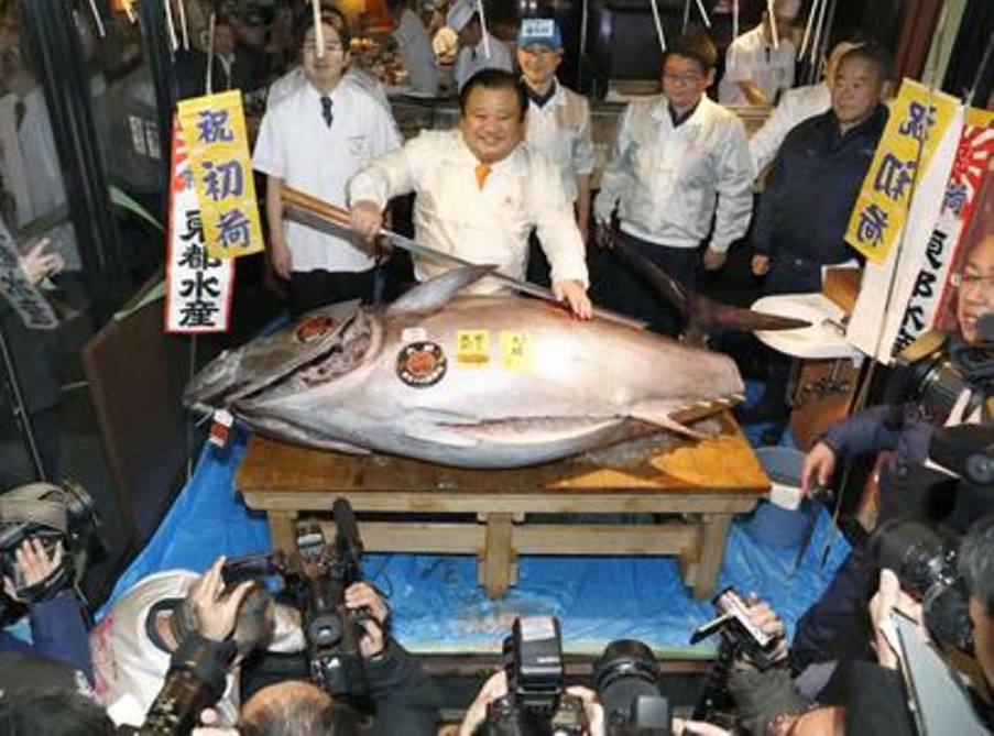 Yaponiyadakı hərracda nəhəng tuna balığı 640 min dollara satılıb