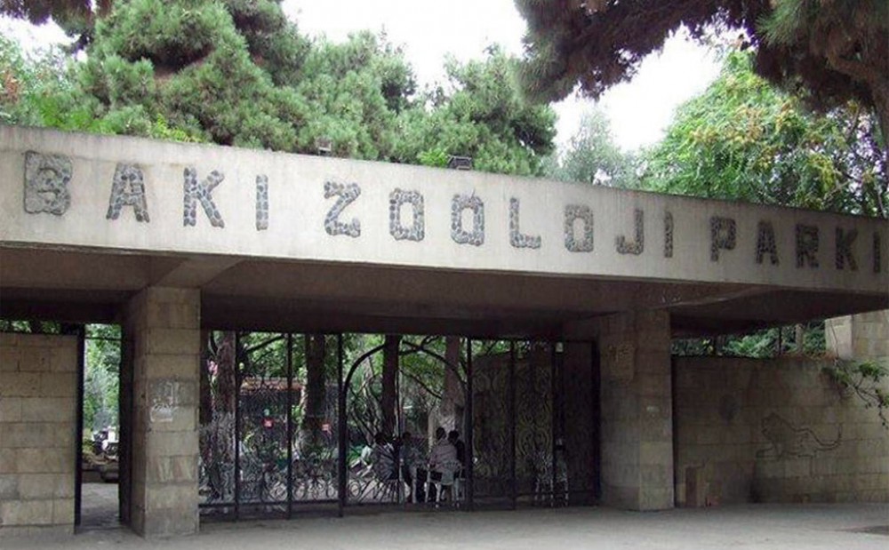 Ötən il Bakı Heyvanat Parkını 85 min insan ziyarət edib