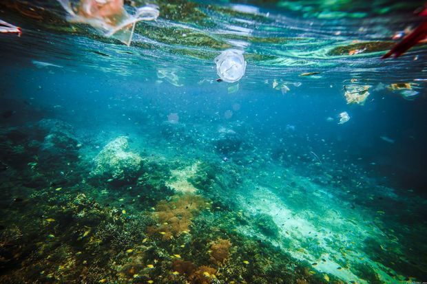 Dünya okeanı çirklənir: 12 milyon ton plastik ekosistemi dəyişir