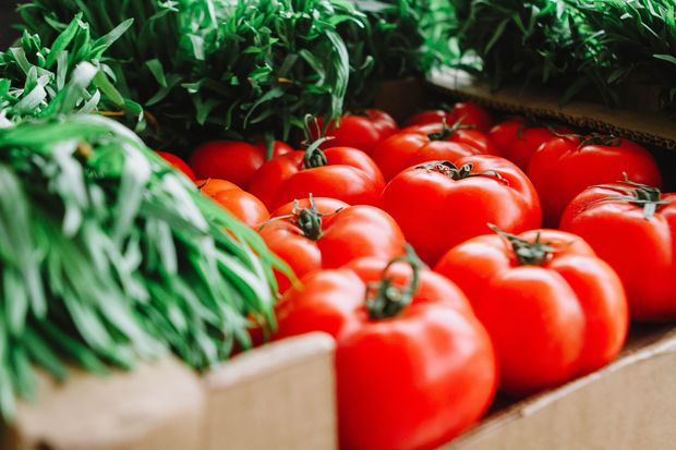 Şəmkirdə pomidor bolluğu problem yaratdı: fermerlər narazıdır - VİDEO