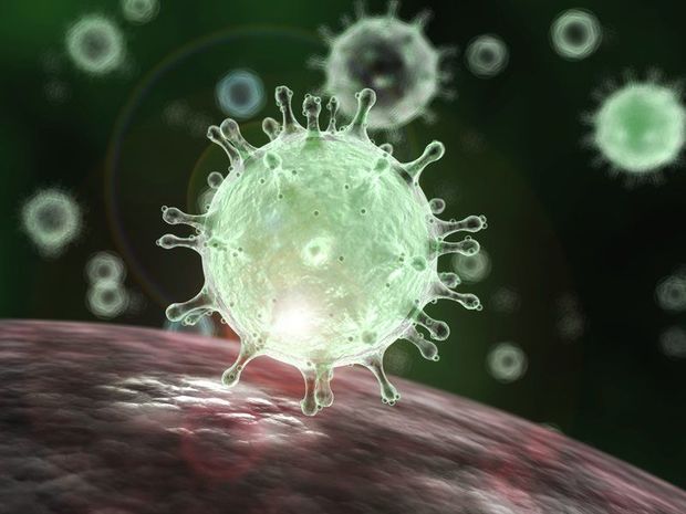 Alimlər: koronavirus təbii təkamül yolu ilə yaranıb