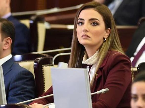 Deputat: “Sosial layihələrin icrası və regionların sosial-iqtisadi inkişafı davam etdirilir”