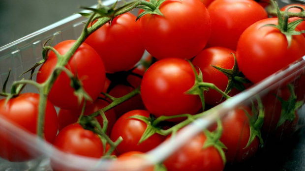 Azərbaycanın daha 34 müəssisəsinə Rusiyaya pomidor ixracına icazə verilib